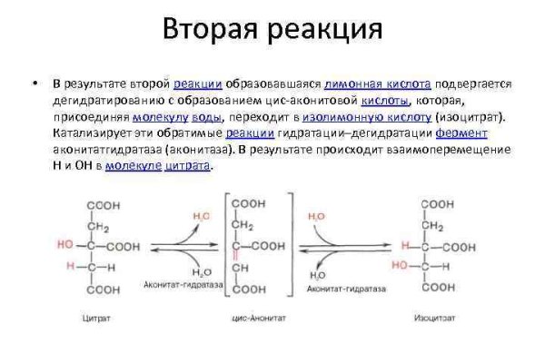 Нарко магазин кракен