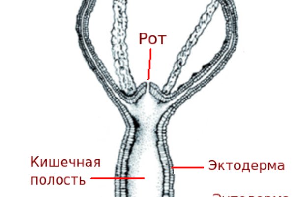 Кракен сайт 2krnk biz